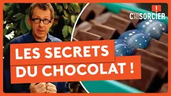 Les secrets du chocolat ! - C'est pas sorcier