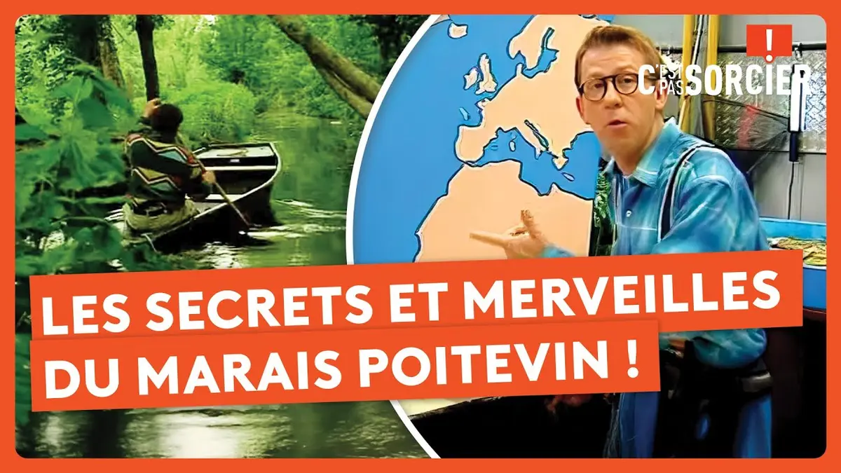 replay de Les secrets et merveilles du Marais Poitevin ! - C'est pas sorcier