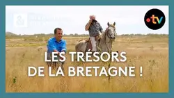 Les trésors de la Bretagne ! - Des racines et des ailes