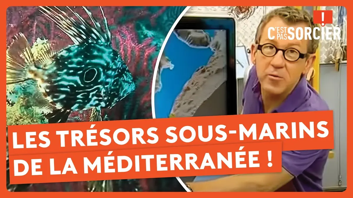 replay de Les trésors sous-marins de la Méditerranée ! - C'est pas sorcier