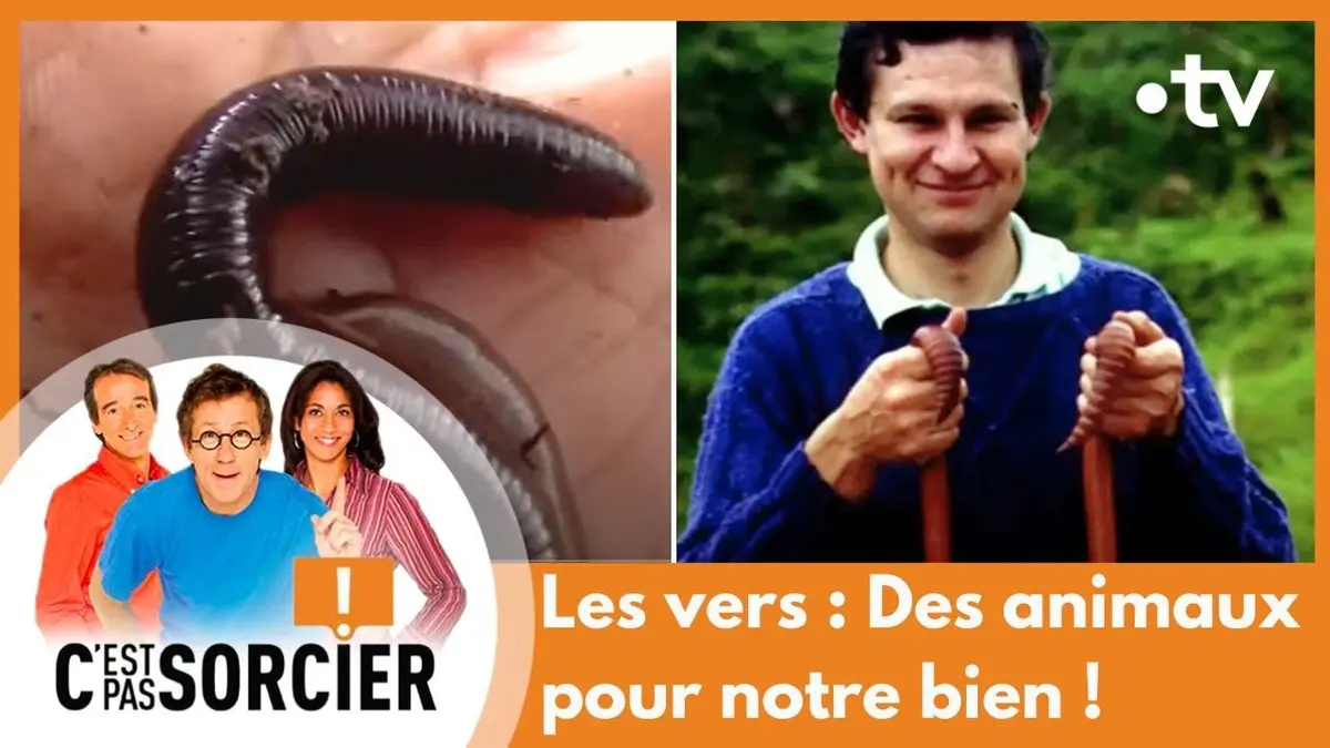 replay de Les vers : Des animaux pour notre bien ! - C'est pas sorcier [Intégrale]