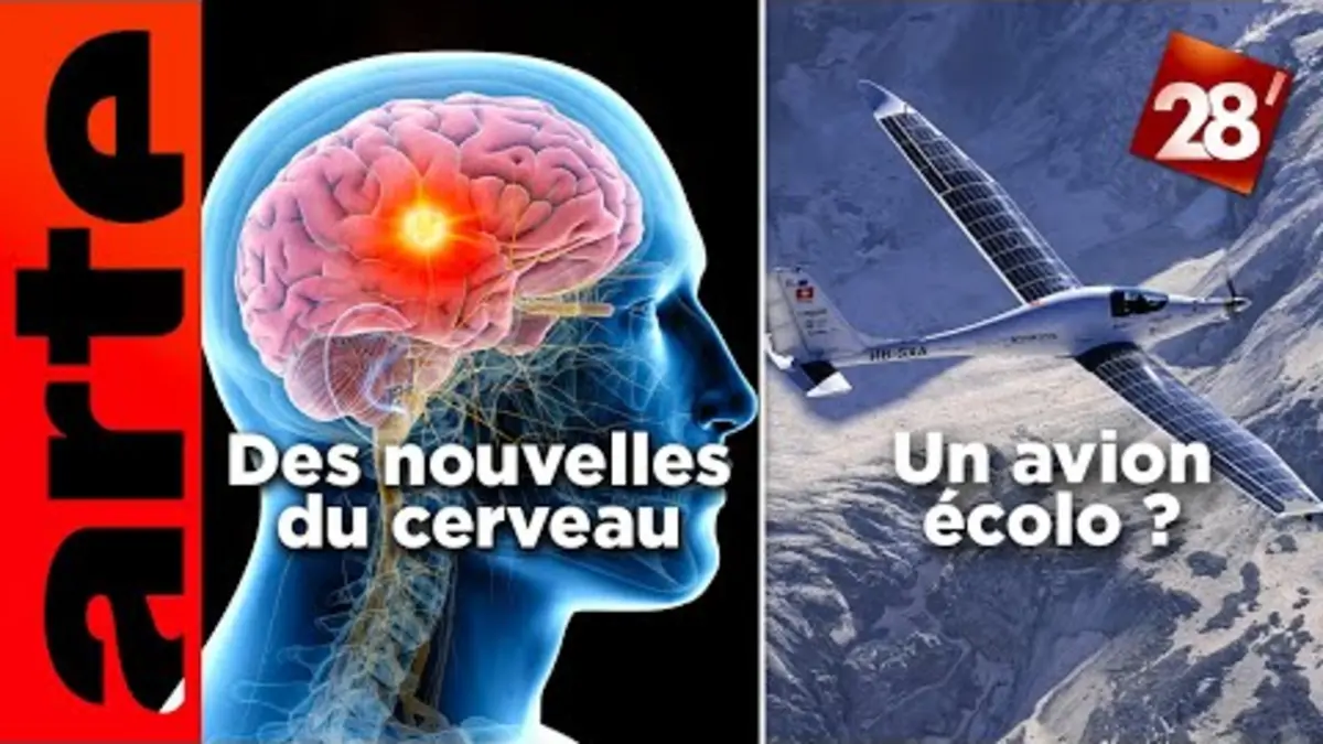 replay de Lionel Naccache / L’avion 100% écolo, c’est pour bientôt ? | 28 minutes | ARTE