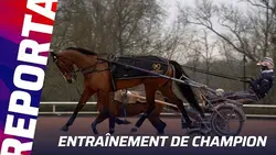 LIZA JOSSELYN : AU NOM DU PÈRE ET DU FILS | Nicolas Bazire se livre en vue du Prix Bold Eagle (Gr.1)