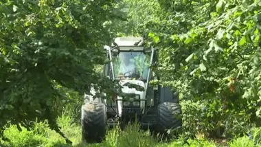 Loi agricole : les députés se déchirent, l'écologie sacrifiée ?
