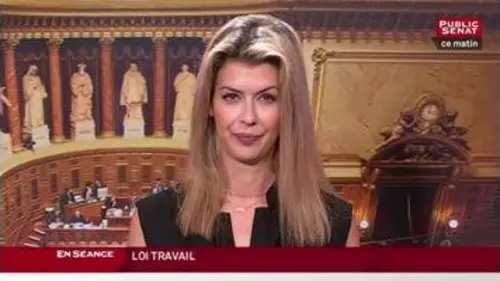 replay de loi travail - Les matins du Sénat (17/06/2016)