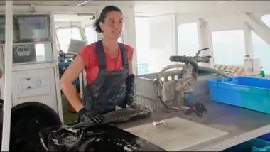 Ma pêche au bar responsable