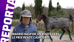 MADRID HAUFOR, LA PEPITE DE CHRISTIAN BIGEON DANS LE PRIX READY CASH (GR.1)