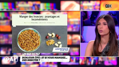 replay de Manger des insectes : une bonne idée ?