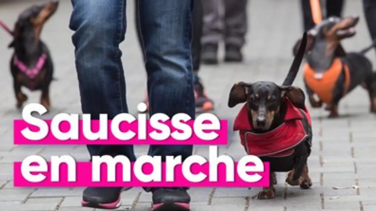 replay de “Marche des saucisses” : défilé de mode et grande cause