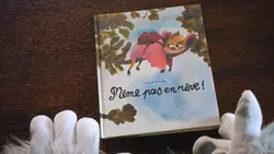 Même pas en rêve !