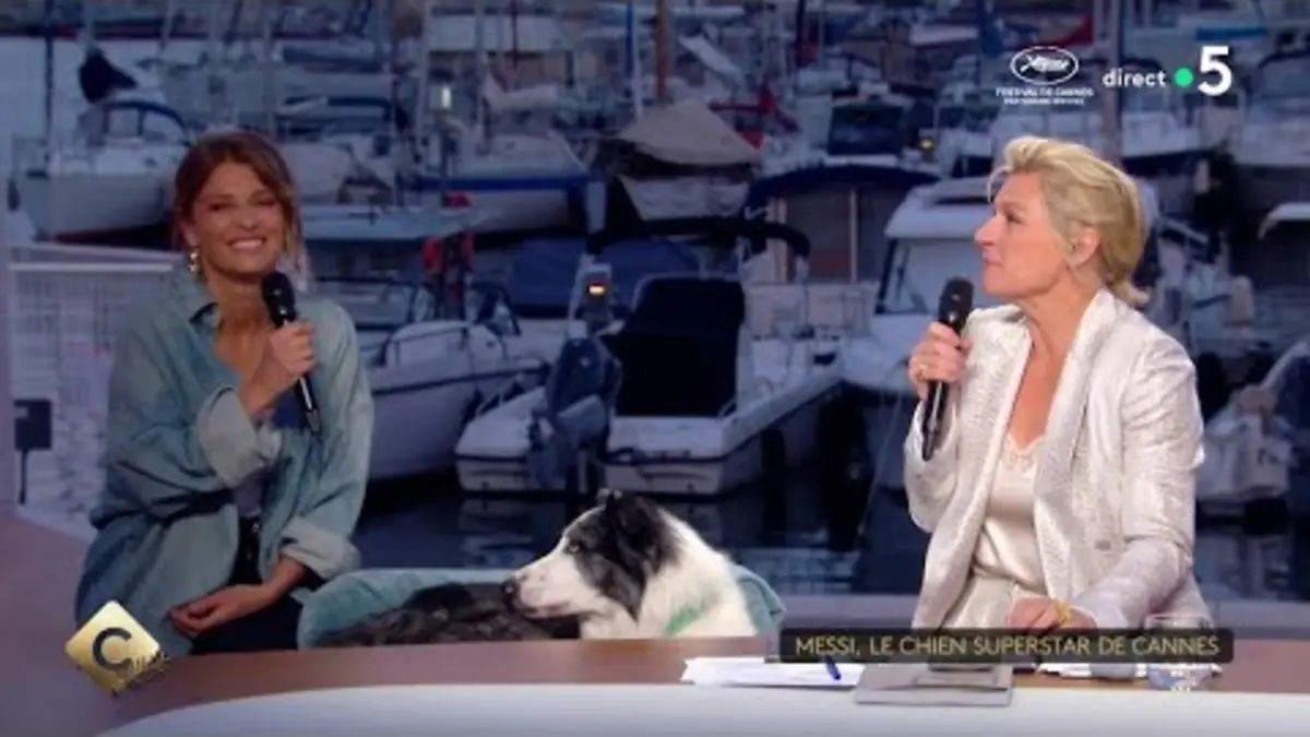replay de Messi, le chien superstar de Cannes - C à vous - 15/05/2024