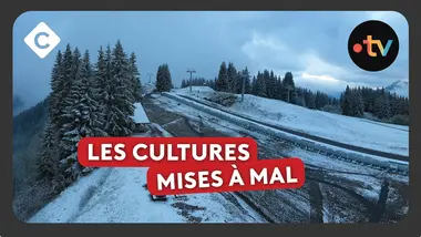 Météo : à quand le printemps ?