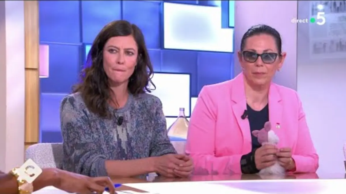 replay de #MeToo : une tribune contre « l’impunité qui grandit » - C à Vous - 14/05/2024