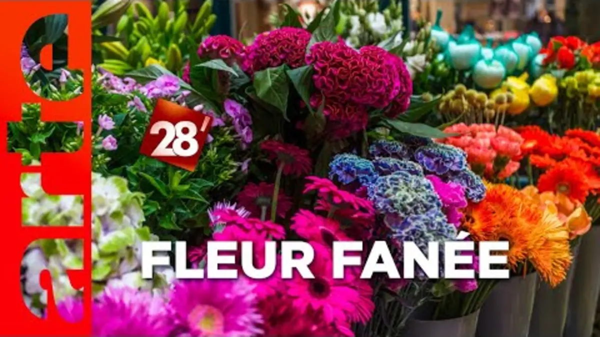 replay de Meurtrie dans sa chair, une fleuriste part en guerre contre les pesticides | 28 minutes | ARTE