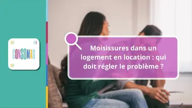 Moisissures dans un logement en location : qui doit régler le problème ?