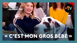 Mon chien compte plus que tout ! - Ça commence aujourd'hui