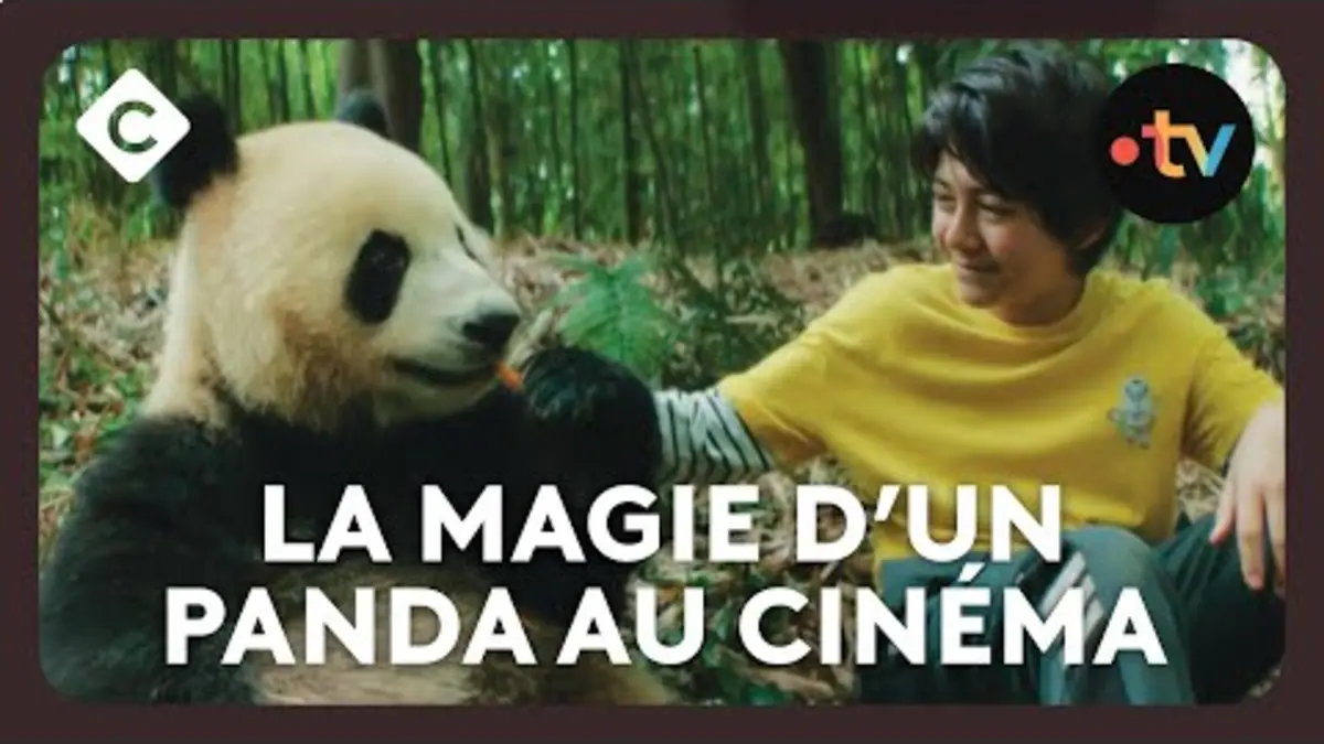 replay de "Moon Le Panda", film familial