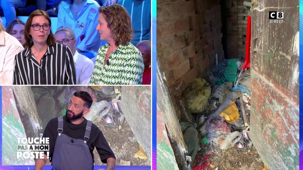 replay de Mouches, blattes, cafards : le témoignage effarant de deux habitantes en Bourgogne !