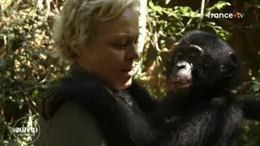 Muriel Robin revient sur sa rencontre bouleversante avec Kinsele, un petit bonobo orphelin