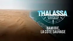 Thalassa, aventures extrêmes Namibie, la côte sauvage
