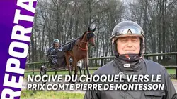 NOCIVE DU CHOQUEL, LA PEPITE DE NICOLAS BRIDAULT DANS LE PRIX COMTE PIERRE DE MONTESSON (GR.1)