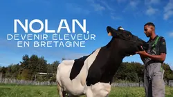 Nolan - devenir éleveur en Bretagne, la génération d'après