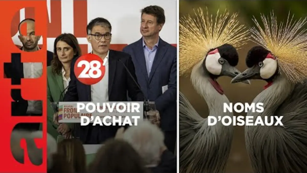 replay de Noms d'oiseaux / Pouvoir d'achat : la surenchère des promesses ? - 28 Minutes - ARTE