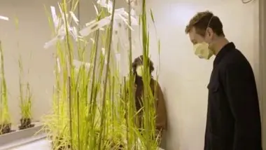 Nos allergies au pollen aggravées par la pollution