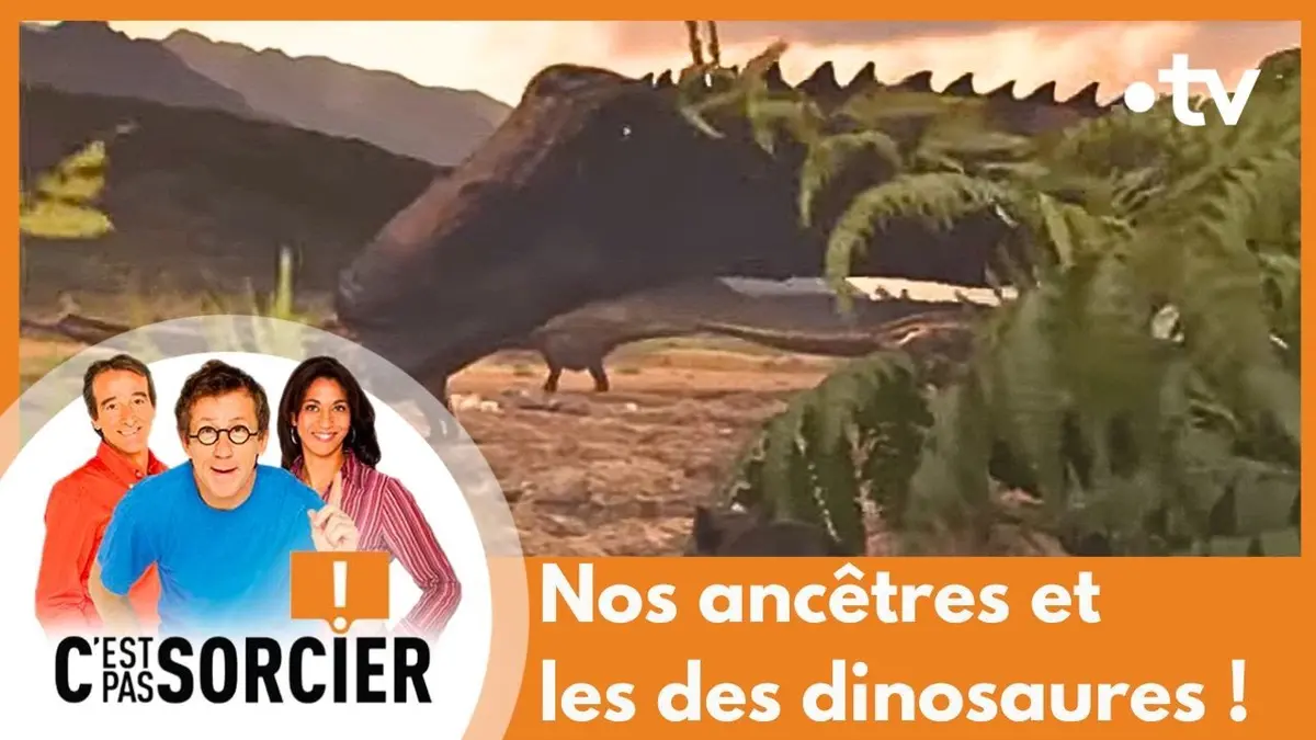 replay de Nos ancêtres et les des dinosaures ! - C'est pas sorcier [Intégrale]