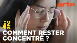 Notre cerveau sait-il encore se concentrer ? | 42 - La réponse à presque tout | ARTE