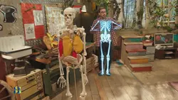 Notre incroyable squelette !