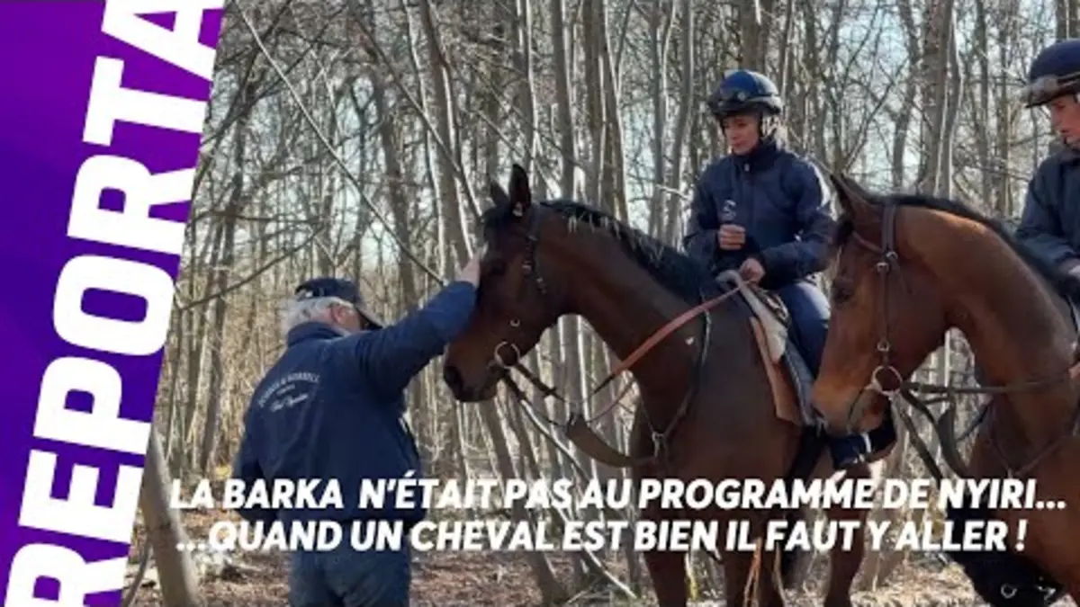 replay de Nyiri - le "roi de Cagnes" prolonge sa saison - 19/03/25