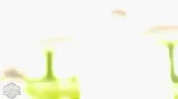 Objectif Top chef Semaine 5