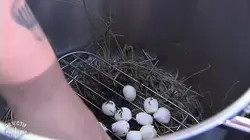 Objectif Top chef Semaine 7