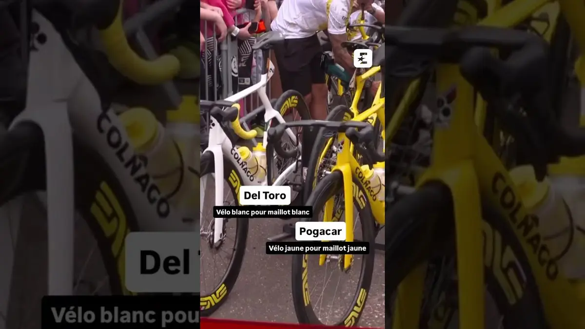 😍 Oh qu’ils sont beaux #tourdefrance #shorts