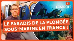 On a découvert le paradis de la plongée sous-marine en France ! - C'est pas sorcier