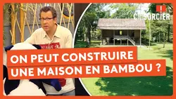 On peut construire une maison en bambou ? - C'est pas sorcier