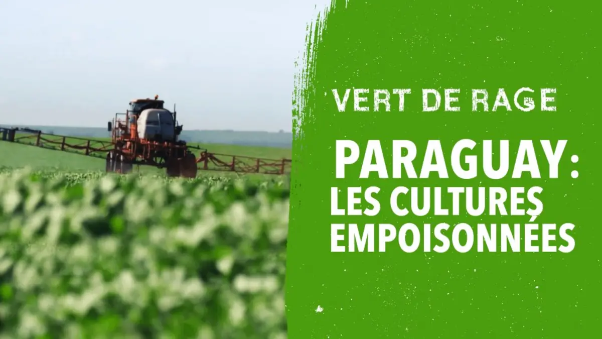 replay de Paraguay : les cultures empoisonnées