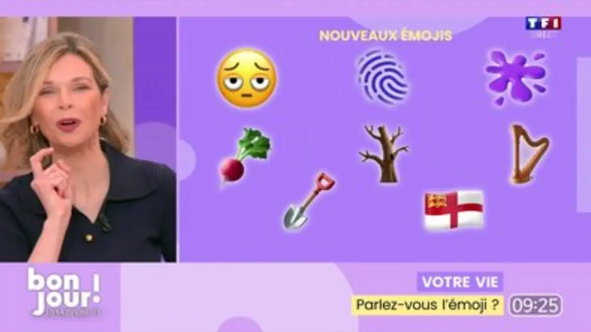 replay de Parlez-vous l'émoji ?