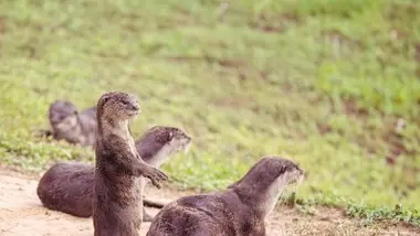 Pas de place pour trois