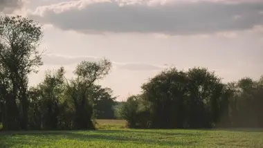 Pascal Gasnier, Antoine Debray