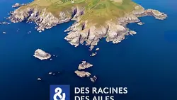 Passion patrimoine : mon île en Normandie