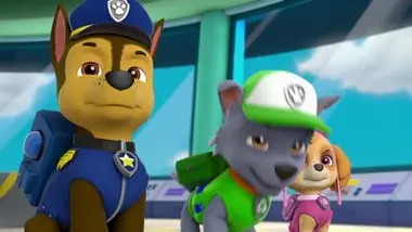 Paw Patrol, la Pat'Patrouille - Alex et sa mini-patrouille