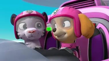 Paw Patrol, la Pat'Patrouille - Compilation Paw Patrol, la Pat'Patrouille 1