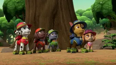 Paw Patrol, la Pat'Patrouille - Compilation Paw Patrol, la Pat'Patrouille 11