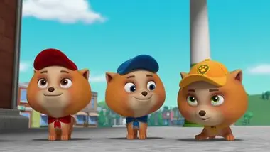 Paw Patrol, la Pat'Patrouille - Compilation Paw Patrol, la Pat'Patrouille 36