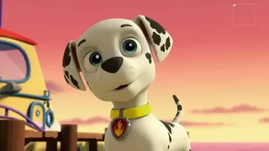 Paw Patrol, la Pat'Patrouille - Compilation Paw Patrol, la Pat'Patrouille 5