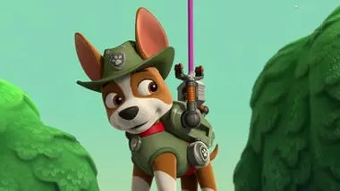 Paw Patrol, la Pat'Patrouille - Compilation Paw Patrol, la Pat'Patrouille 6