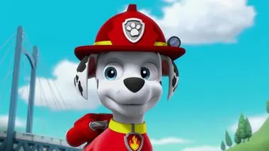 Paw Patrol, la Pat'Patrouille - Des bébêtes en vadrouille