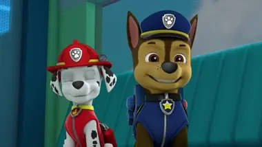 Paw Patrol, la Pat'Patrouille - La course de caisses à savon